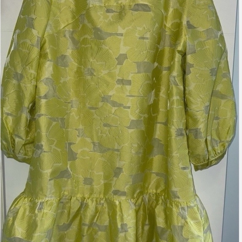 Citron Fil Coupe Palmerston Tuckernuck Jacquard Dress - Picture 8 of 9